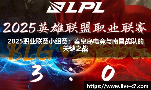 2025职业联赛小组赛：秦皇岛电竞与南昌战队的关键之战
