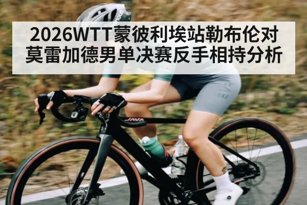 2026WTT蒙彼利埃站勒布伦对莫雷加德男单决赛反手相持分析