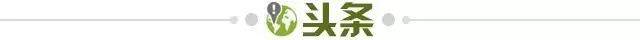 c7娱乐下载-【早报】要多久才能看懂裁判?
